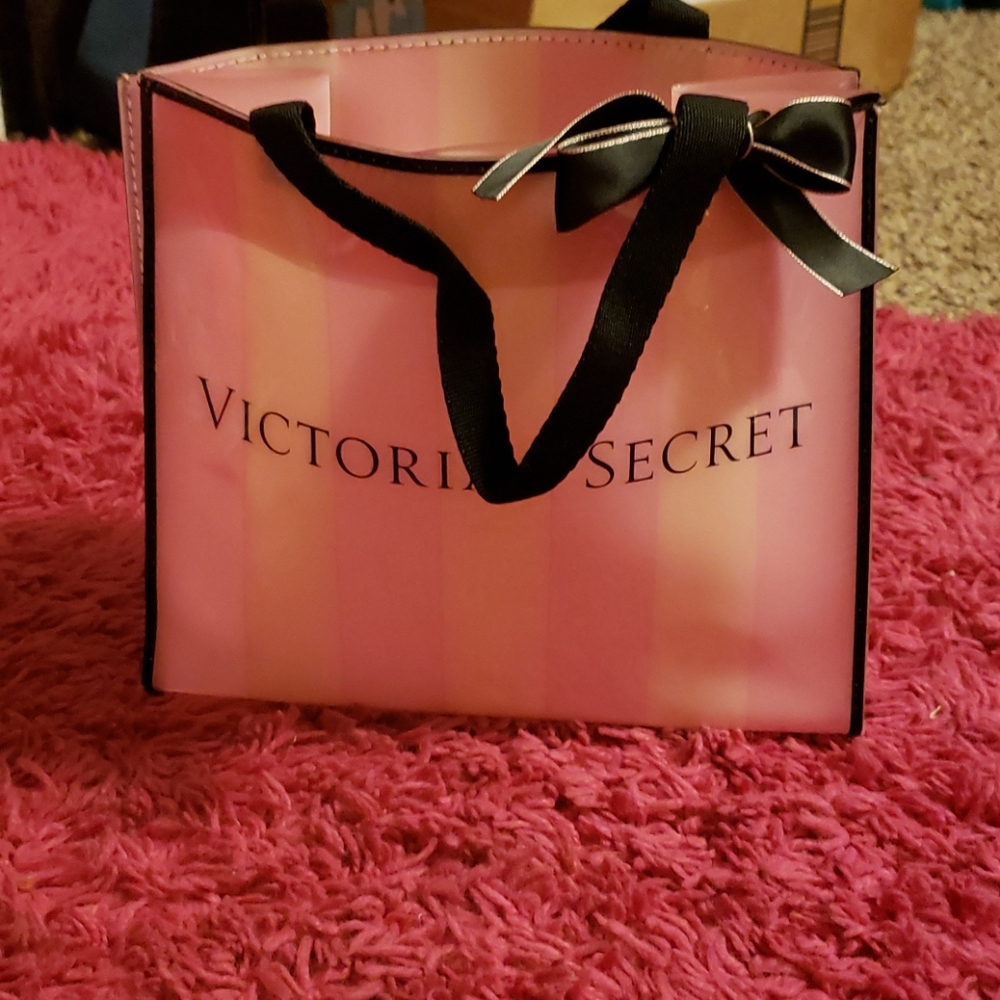 Victoria's secret plastic shopping bag purse